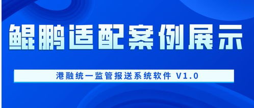 鯤鵬適配案例展示 港融統一監管報送系統軟件 v1.0 與信息技術咨詢服務